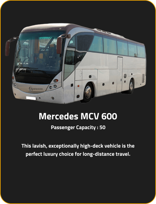 Luxury Vans and Buses